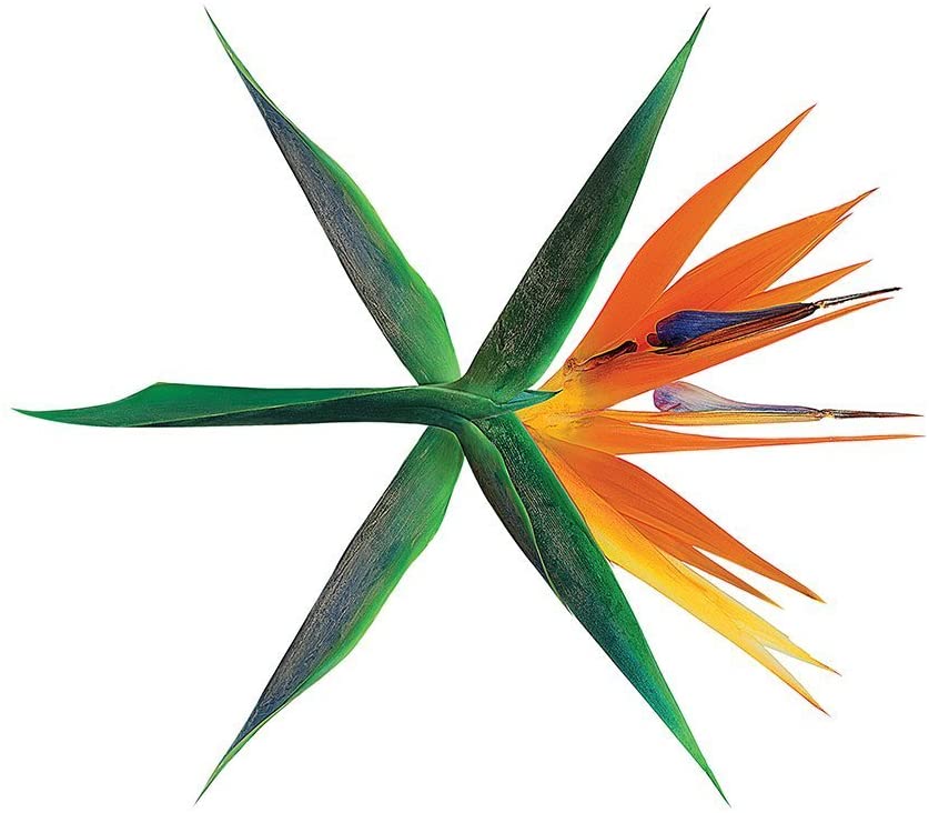 EXO - The War [Korean ver.] - K-Moon